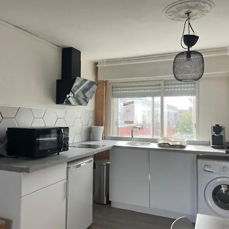 Studio A 15 Mn De Toulouse A Castelginest Exterior photo