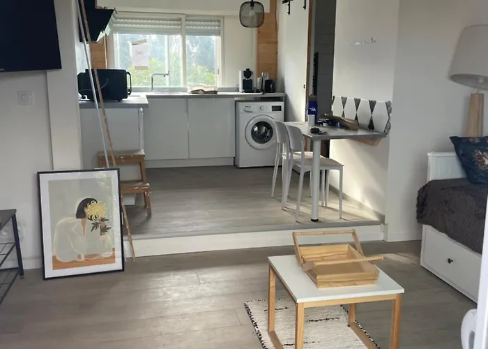 Studio A 15 Mn De Toulouse A Castelginest